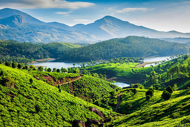 Kerala backwaters, South India